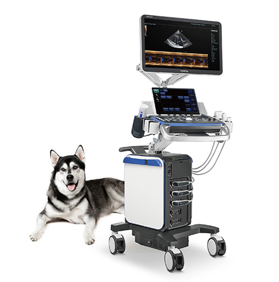 Mindray Vetus 8 veterinary ultrasound system